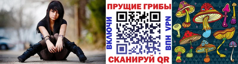 Купить  Белокуриха  Галлюциногенные грибы ЛСД 
